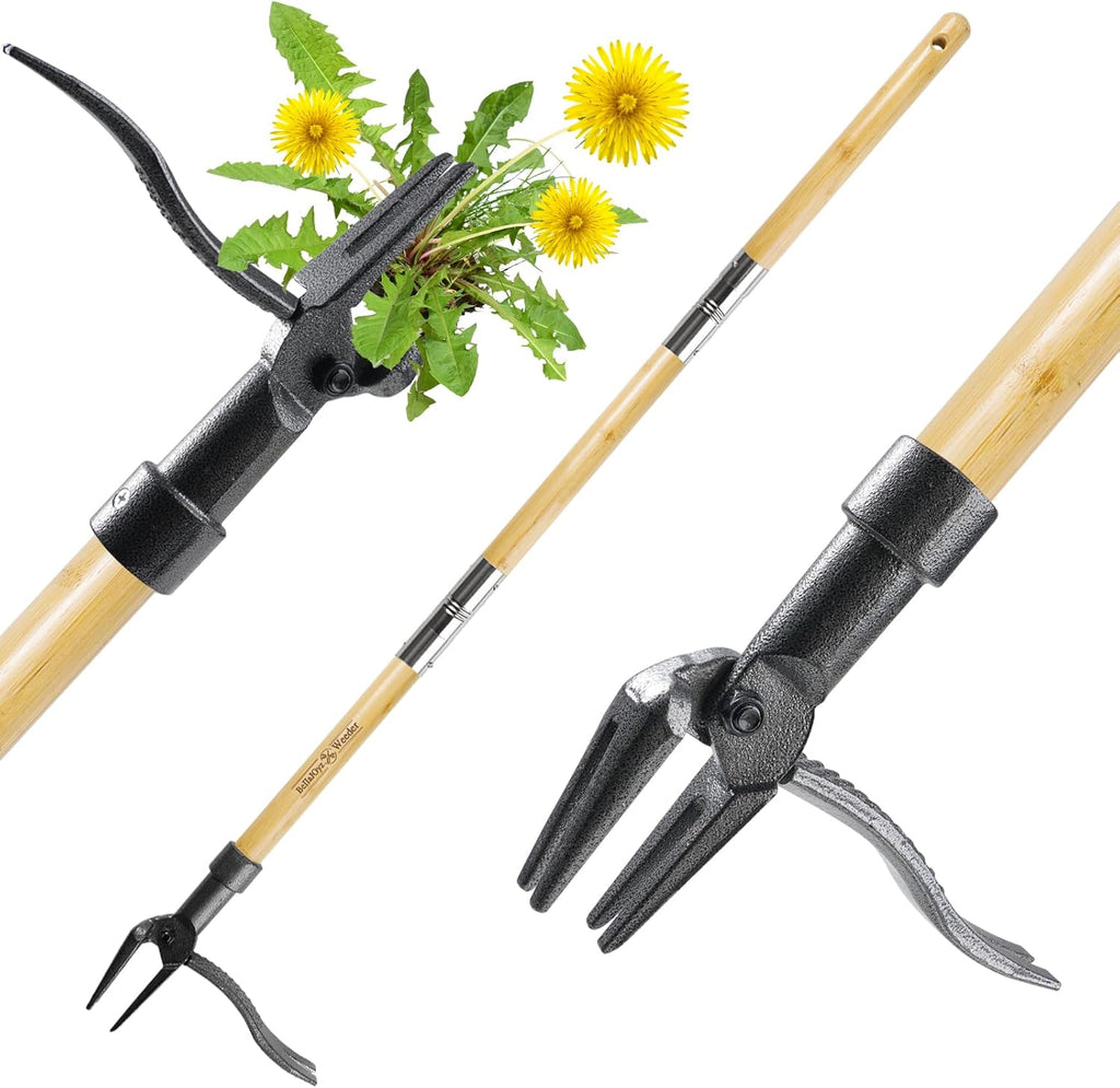 Weeder Tool