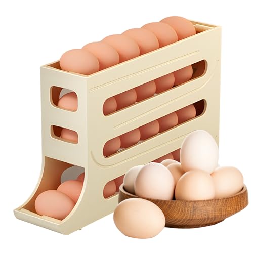 Refrigerator Egg Storage Box